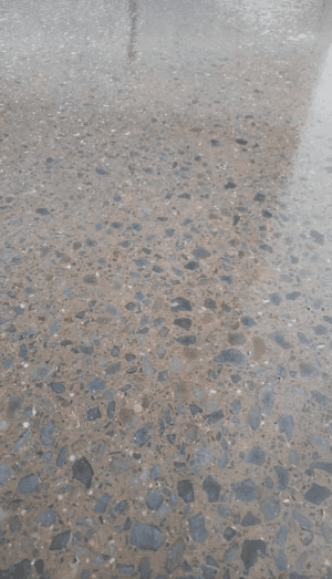 Photo by Lorenzo Herrera